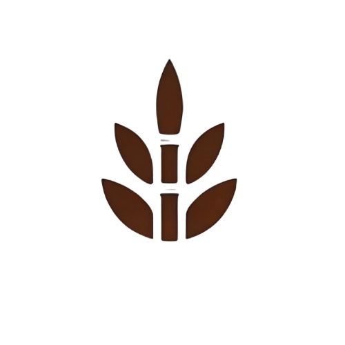 Bambu,set of the bambu fr the hair